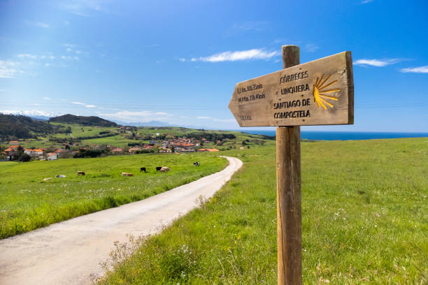 Camino de Santiago